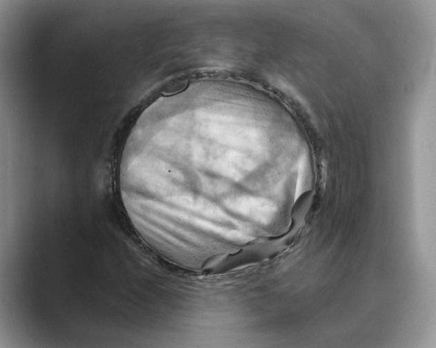 X0000088861208200707061045