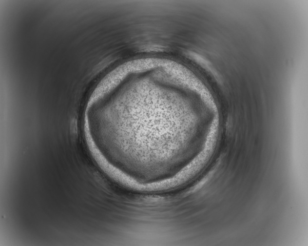 X0000088861209200707061045