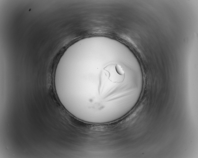 X0000088861211200707061045