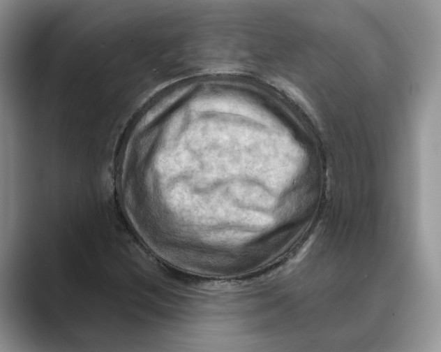 X0000088861212200707061045