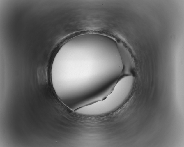 X0000088861214200707061045