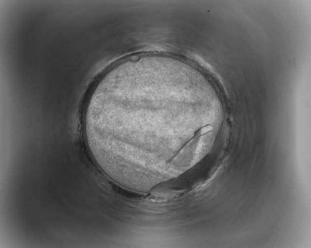 X0000088861215200707061045