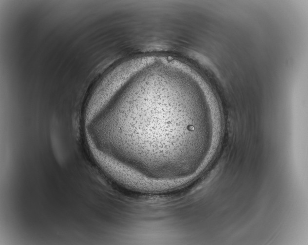 X0000088861217200707061045