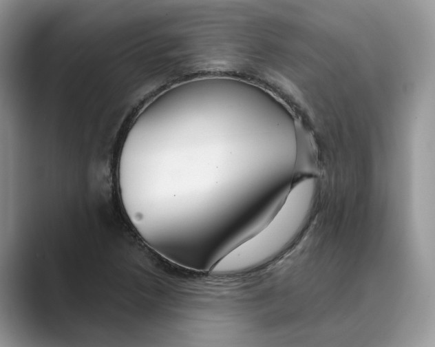 X0000088861218200707061045