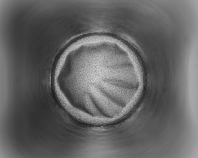 X0000088861220200707061045