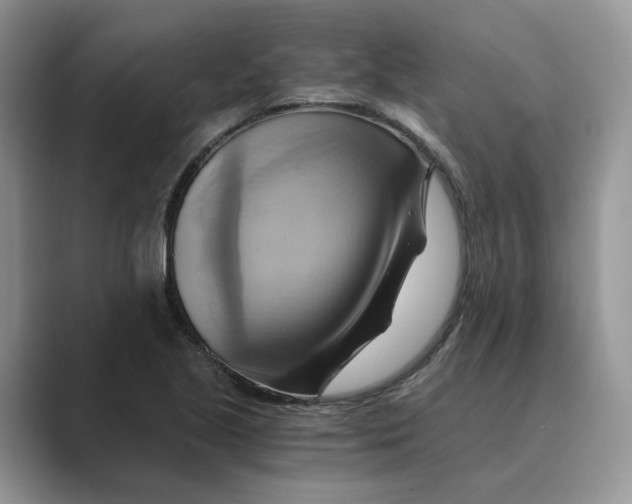 X0000088861221200707061045