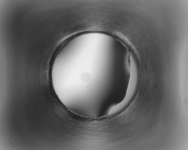 X0000088861222200707061045