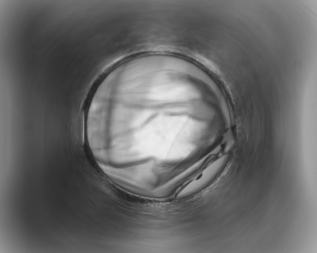 X0000088861223200707061045