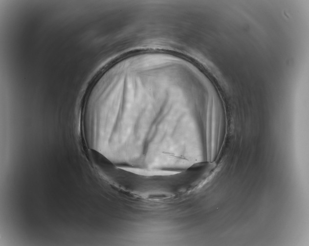 X0000088861224200707061045