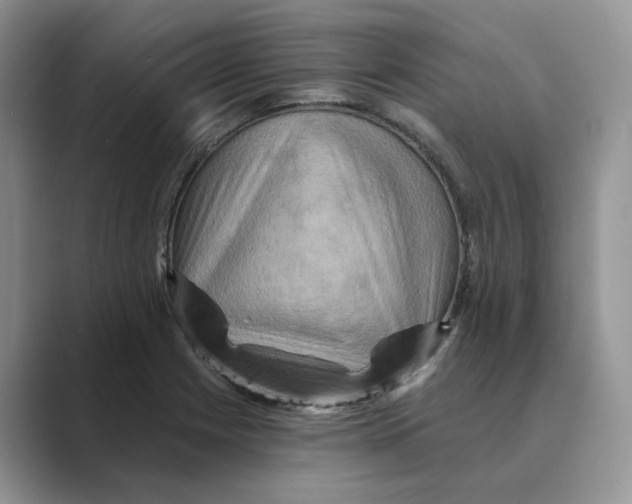 X0000088861225200707061045