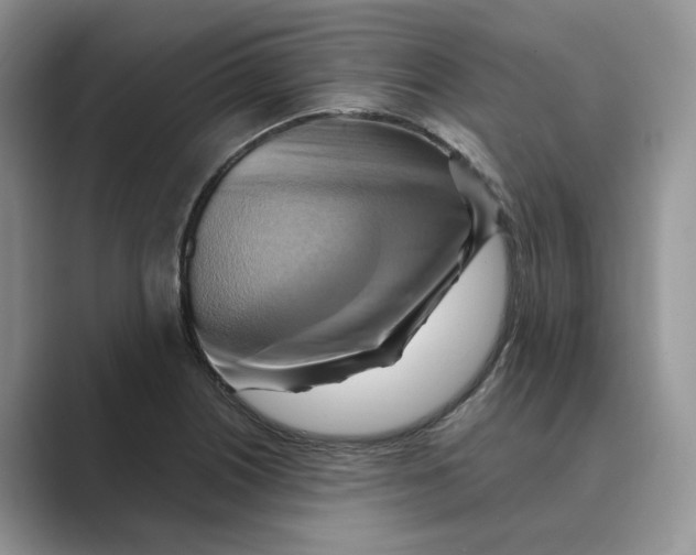 X0000088861226200707061045