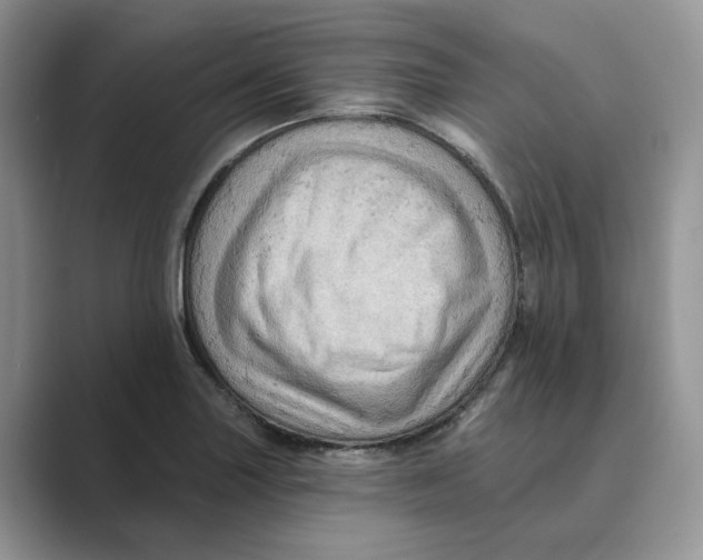 X0000088861227200707061045