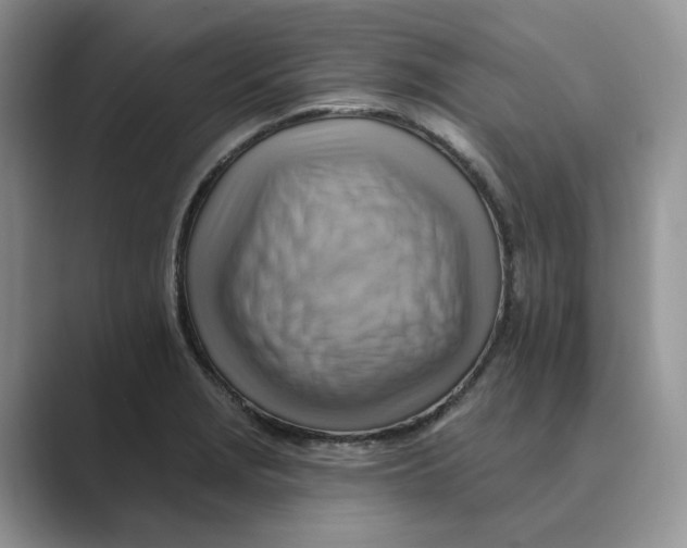 X0000088861229200707061045