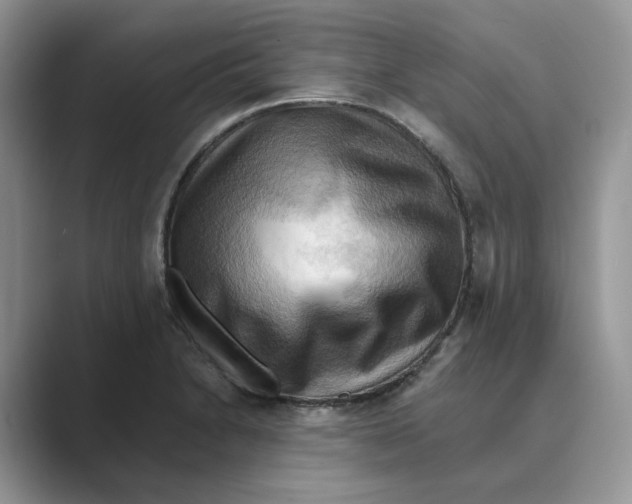 X0000088861230200707061045