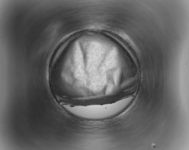 X0000088861232200707061045