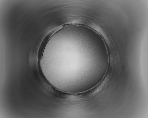 X0000088861234200707061045