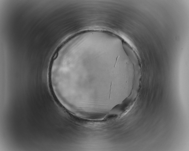 X0000088861237200707061045