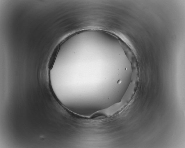 X0000088861238200707061045