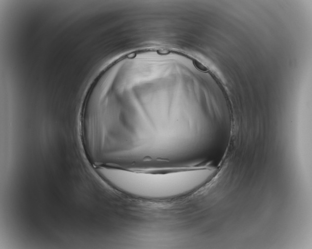 X0000088861239200707061045