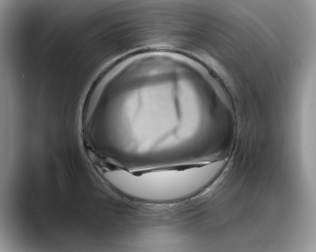 X0000088861240200707061045