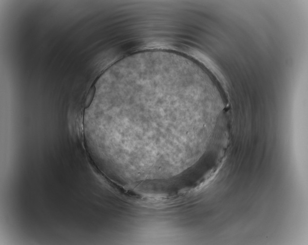 X0000088861241200707061045