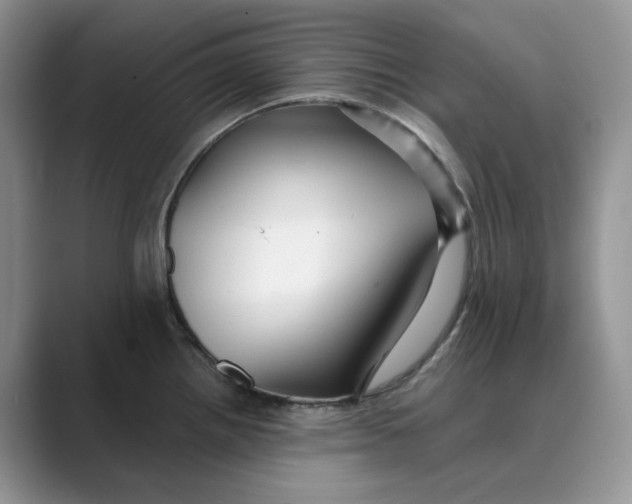 X0000088861242200707061045