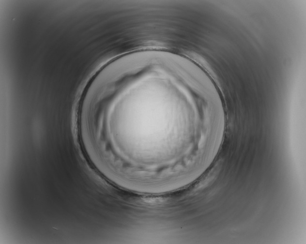 X0000088861243200707061045