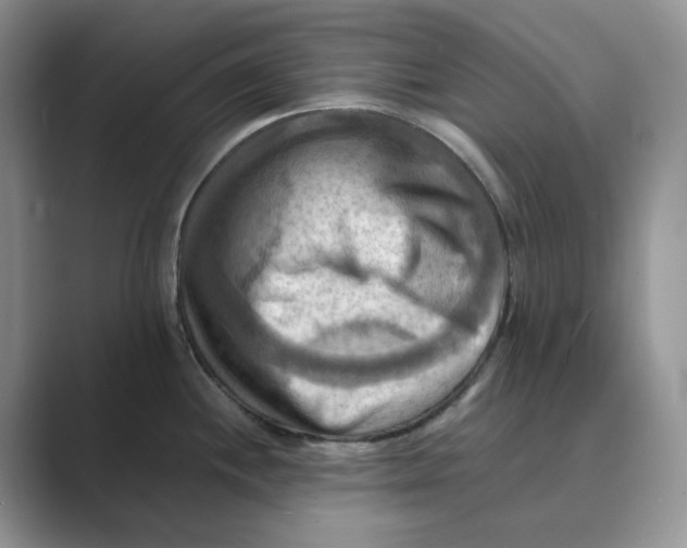 X0000088861244200707061045