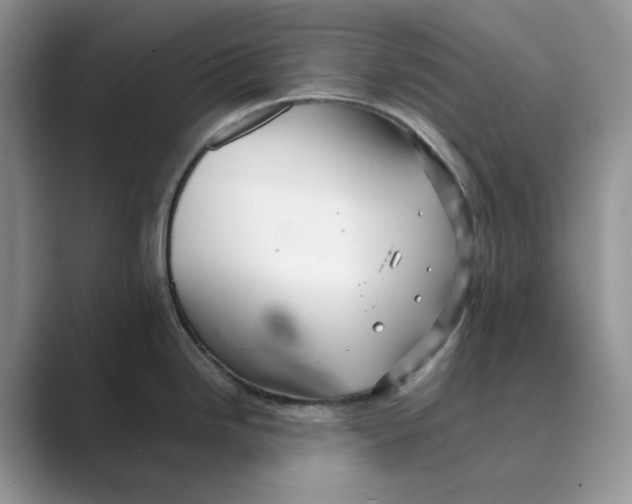 X0000088861246200707061045