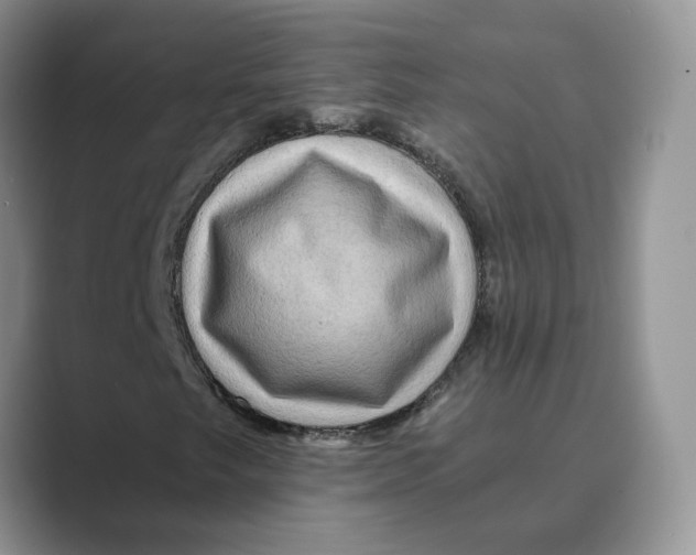 X0000088861249200707061044