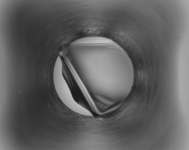 X0000088861250200707061044