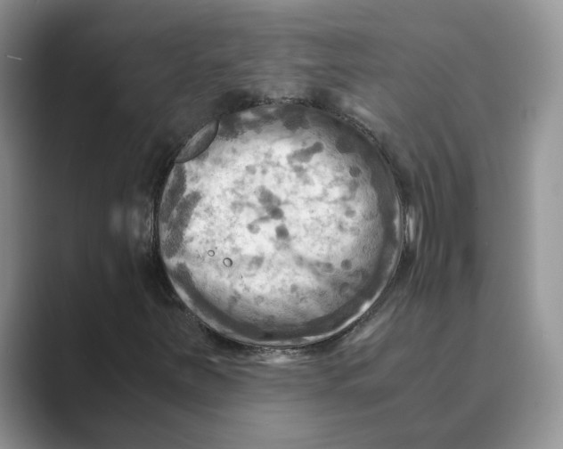 X0000088861251200707061044