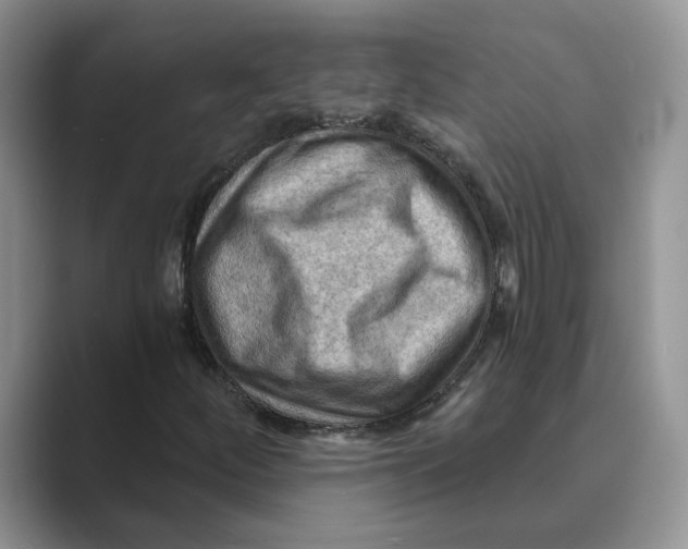 X0000088861252200707061044