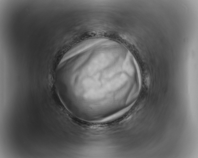 X0000088861253200707061044