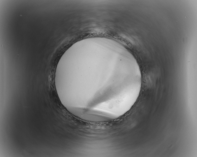 X0000088861254200707061044