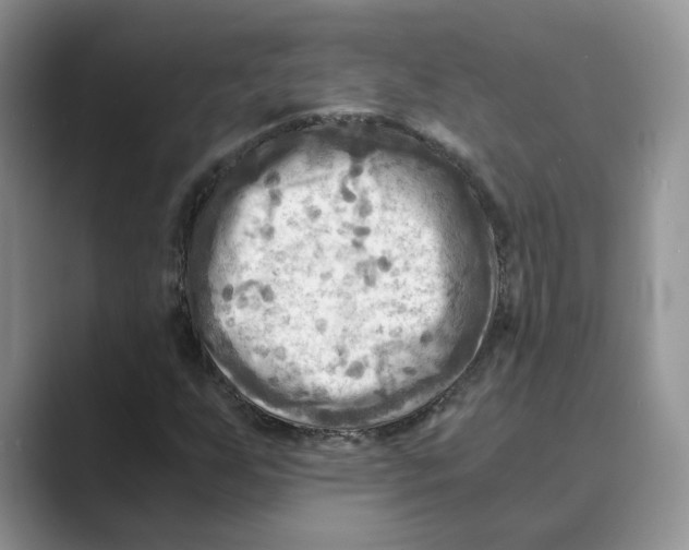 X0000088861255200707061044