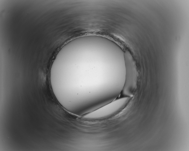 X0000088861257200707061044