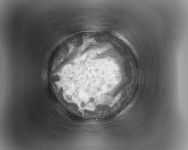 X0000088861259200707061044