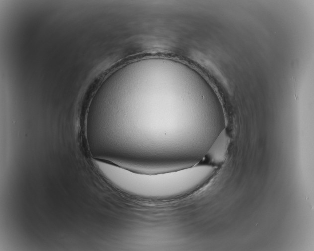 X0000088861261200707061044