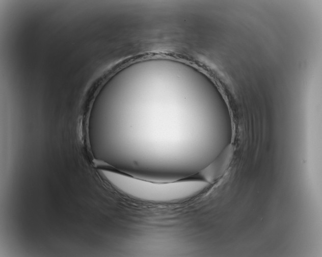 X0000088861262200707061044