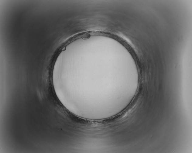 X0000088861263200707061044