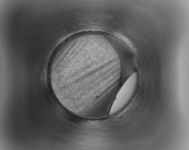 X0000088861264200707061044