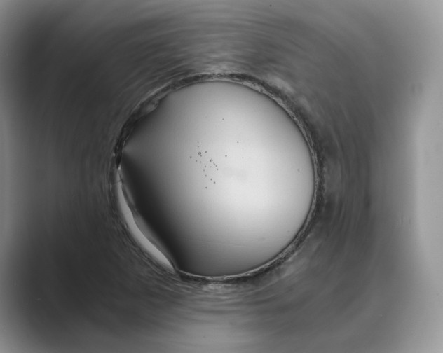 X0000088861265200707061044