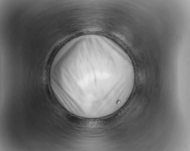 X0000088861266200707061044