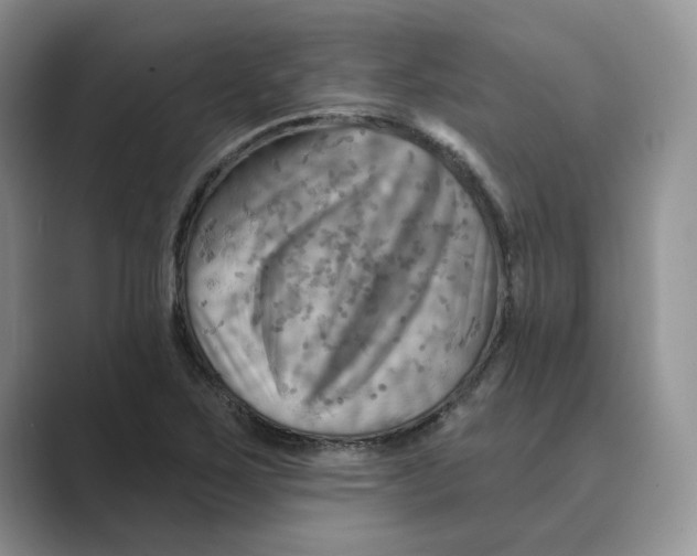 X0000088861267200707061044