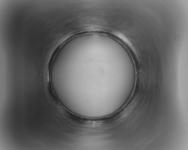 X0000088861269200707061044