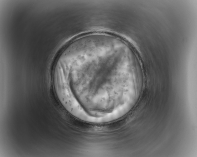 X0000088861271200707061044