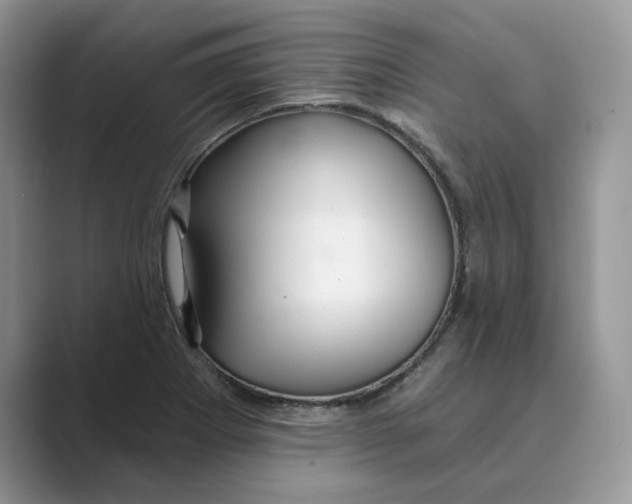 X0000088861273200707061044