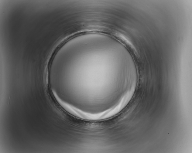 X0000088861275200707061044