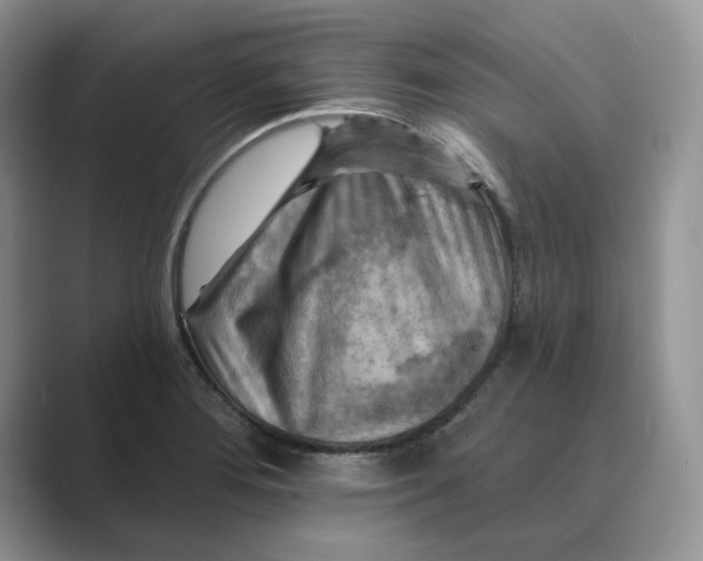 X0000088861276200707061044